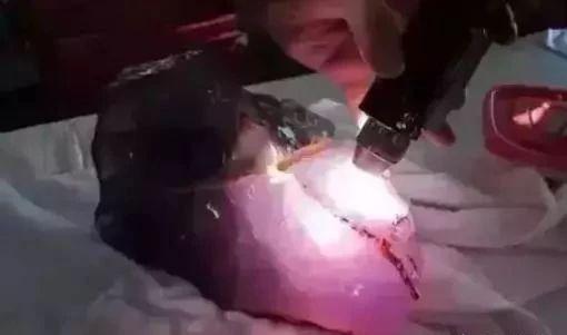 天价赌石翡翠原石,翡翠原石赌石公盘类小说-第1张图片-翡翠网 天价赌石翡翠原石,翡翠原石赌石公盘类小说-第1张图片-翡翠网