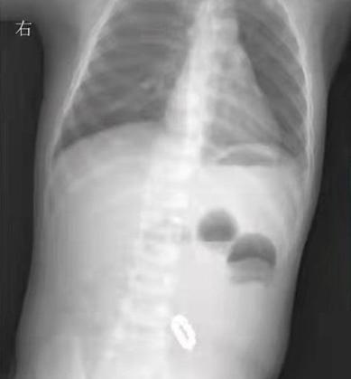 翡翠手串的价格,轩轩翡翠手串价格-第8张图片-翡翠网 翡翠手串的价格,轩轩翡翠手串价格-第8张图片-翡翠网