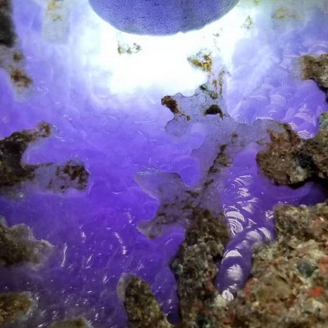 冰飘花翡翠手镯图片及价格冰浓紫翡翠手镯图片-第4张图片-翡翠网 冰飘花翡翠手镯图片及价格冰浓紫翡翠手镯图片-第4张图片-翡翠网