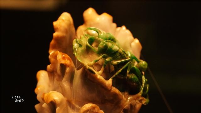 翡翠白菜图片大全图片欣赏翡翠白菜图片价格-第9张图片-翡翠网 翡翠白菜图片大全图片欣赏翡翠白菜图片价格-第9张图片-翡翠网