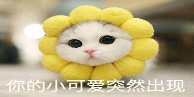 翡翠原石系统知识讲座的简单介绍-第1张图片-翡翠网 翡翠原石系统知识讲座的简单介绍-第1张图片-翡翠网