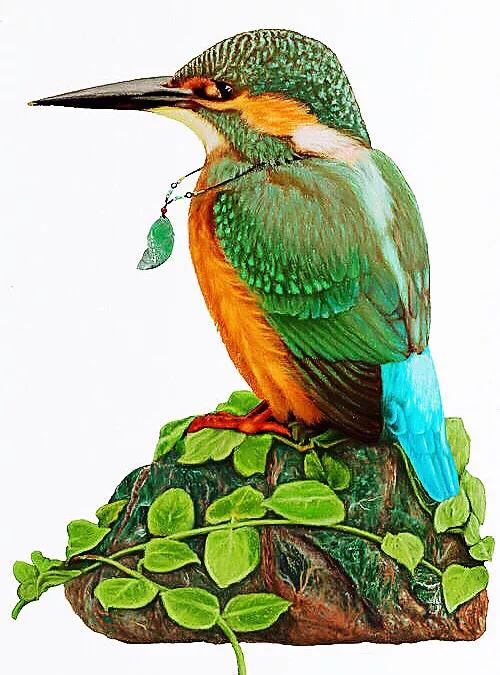 翡翠鸟翡翠价格翡翠是一种鸟-第4张图片-翡翠网 翡翠鸟翡翠价格翡翠是一种鸟-第4张图片-翡翠网