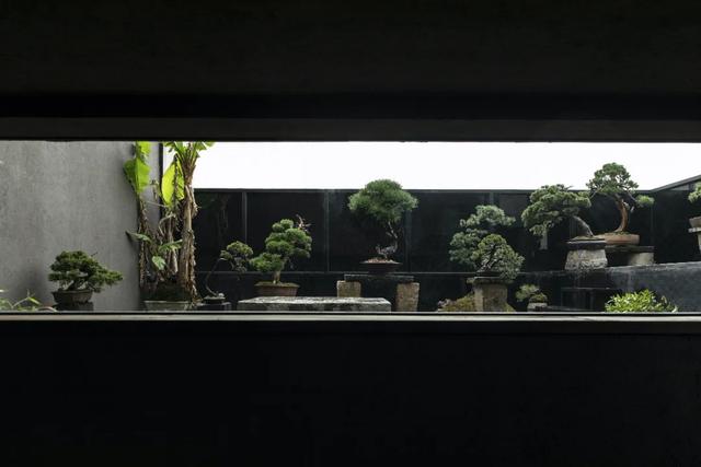 翡翠原石249克,翡翠原石怎么辨别-第15张图片-翡翠网 翡翠原石249克,翡翠原石怎么辨别-第15张图片-翡翠网