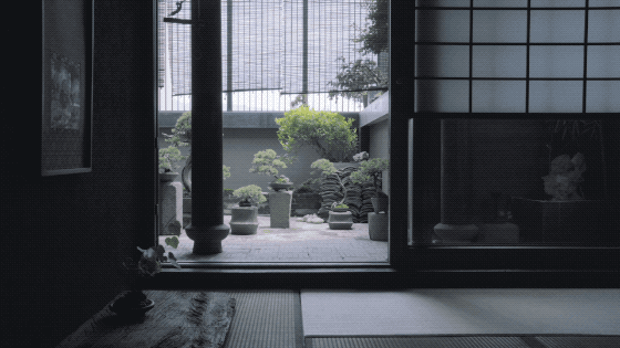 翡翠原石249克,翡翠原石怎么辨别-第17张图片-翡翠网 翡翠原石249克,翡翠原石怎么辨别-第17张图片-翡翠网