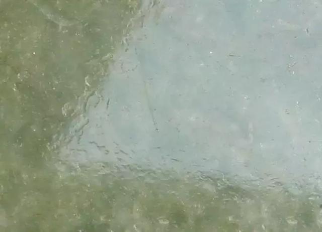 翡翠手镯有纹可以戴吗玉有裂痕还能带吗-第3张图片-翡翠网 翡翠手镯有纹可以戴吗玉有裂痕还能带吗-第3张图片-翡翠网