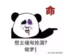 人家捡到钱买翡翠原石翡翠原石产地是哪里-第6张图片-翡翠网 人家捡到钱买翡翠原石翡翠原石产地是哪里-第6张图片-翡翠网