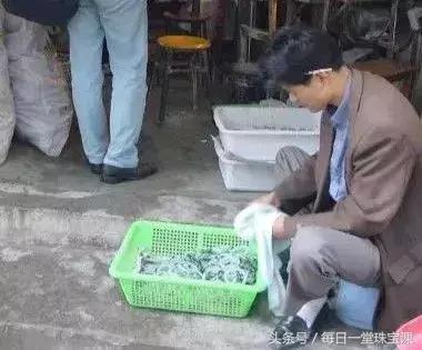 翡翠中带黄点好不好,翡翠手镯会变色吗-第12张图片-翡翠网 翡翠中带黄点好不好,翡翠手镯会变色吗-第12张图片-翡翠网