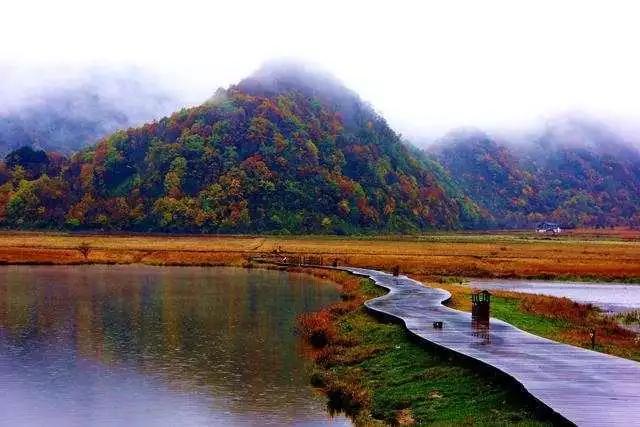 长白山湖酒白象价格,长白山湖绿翡翠酒价格-第18张图片-翡翠网 长白山湖酒白象价格,长白山湖绿翡翠酒价格-第18张图片-翡翠网