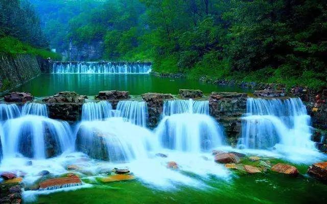 长白山湖酒白象价格,长白山湖绿翡翠酒价格-第24张图片-翡翠网 长白山湖酒白象价格,长白山湖绿翡翠酒价格-第24张图片-翡翠网