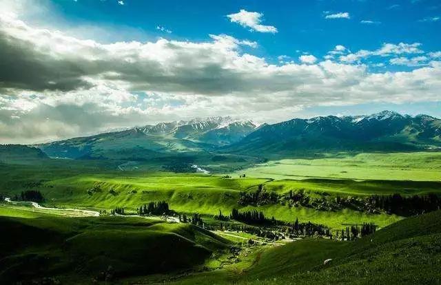 长白山湖酒白象价格,长白山湖绿翡翠酒价格-第30张图片-翡翠网 长白山湖酒白象价格,长白山湖绿翡翠酒价格-第30张图片-翡翠网