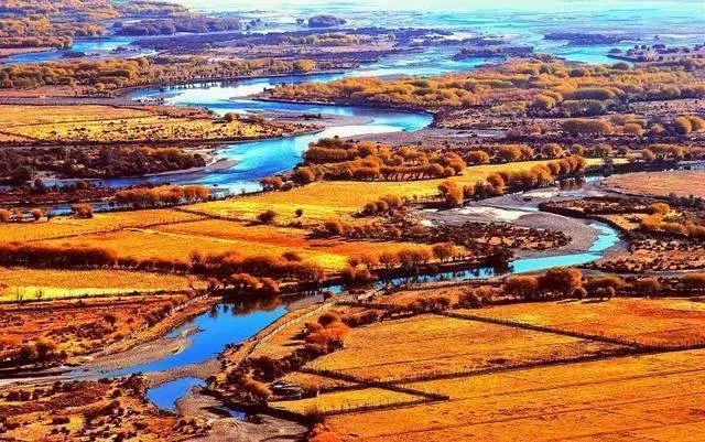 长白山湖酒白象价格,长白山湖绿翡翠酒价格-第32张图片-翡翠网 长白山湖酒白象价格,长白山湖绿翡翠酒价格-第32张图片-翡翠网