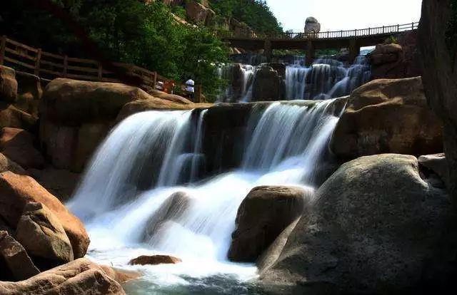 长白山湖酒白象价格,长白山湖绿翡翠酒价格-第36张图片-翡翠网 长白山湖酒白象价格,长白山湖绿翡翠酒价格-第36张图片-翡翠网