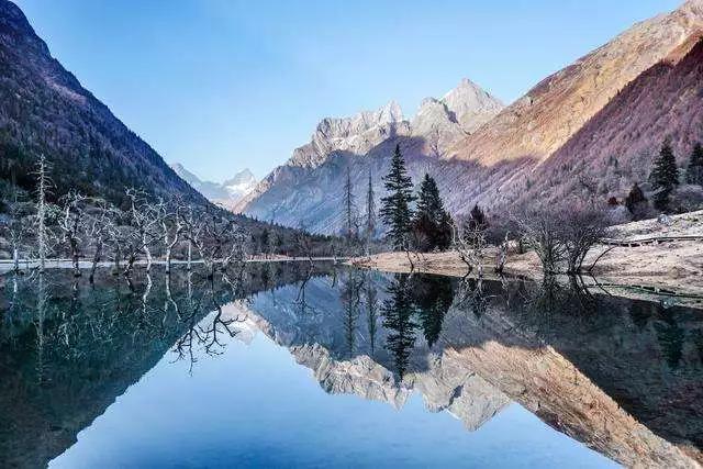 长白山湖酒白象价格,长白山湖绿翡翠酒价格-第38张图片-翡翠网 长白山湖酒白象价格,长白山湖绿翡翠酒价格-第38张图片-翡翠网