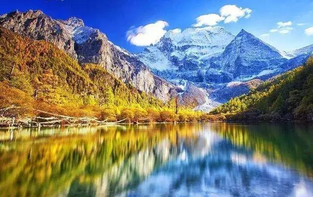 长白山湖酒白象价格,长白山湖绿翡翠酒价格-第40张图片-翡翠网 长白山湖酒白象价格,长白山湖绿翡翠酒价格-第40张图片-翡翠网