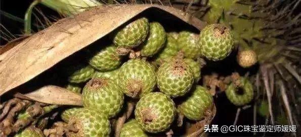 翡翠手镯描金什么价格翡翠手镯图片-第19张图片-翡翠网 翡翠手镯描金什么价格翡翠手镯图片-第19张图片-翡翠网