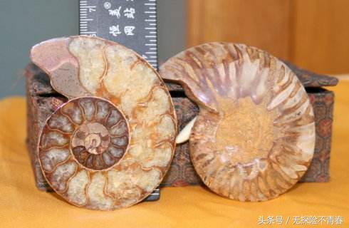 翡翠毛料原石,潮安玉石翡翠原石-第6张图片-翡翠网 翡翠毛料原石,潮安玉石翡翠原石-第6张图片-翡翠网