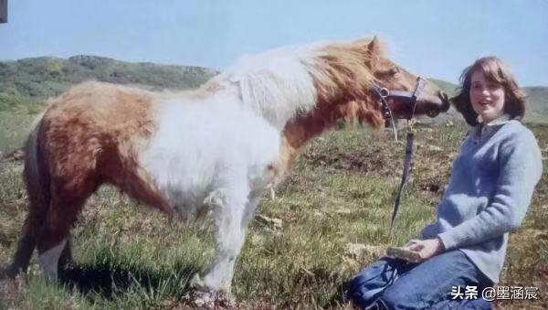 翡翠手镯棉条,翡翠棉纹是什么样子的-第10张图片-翡翠网 翡翠手镯棉条,翡翠棉纹是什么样子的-第10张图片-翡翠网