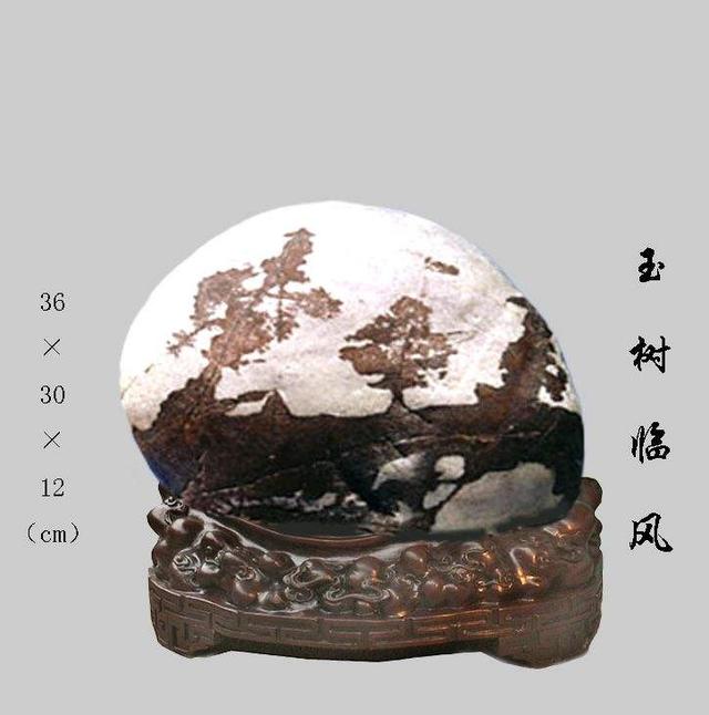 翡翠原石如何剥皮,攀枝花翡翠原石剥皮-第5张图片-翡翠网 翡翠原石如何剥皮,攀枝花翡翠原石剥皮-第5张图片-翡翠网