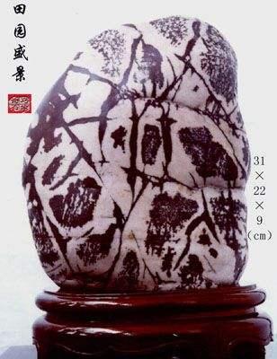 翡翠原石如何剥皮,攀枝花翡翠原石剥皮-第10张图片-翡翠网 翡翠原石如何剥皮,攀枝花翡翠原石剥皮-第10张图片-翡翠网