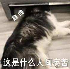 福禄寿喜翡翠,宋丹丹戴的福禄寿翡翠手镯-第20张图片-翡翠网 福禄寿喜翡翠,宋丹丹戴的福禄寿翡翠手镯-第20张图片-翡翠网