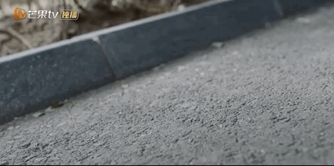 福禄寿喜翡翠,宋丹丹戴的福禄寿翡翠手镯-第71张图片-翡翠网 福禄寿喜翡翠,宋丹丹戴的福禄寿翡翠手镯-第71张图片-翡翠网