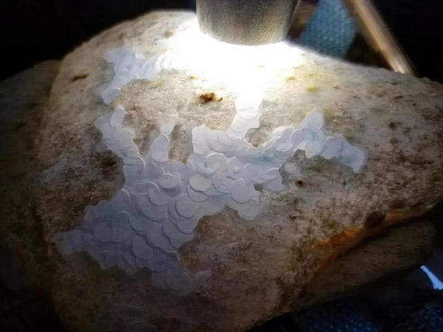 翡翠原石值钱吗开采翡翠原石怎么识别-第5张图片-翡翠网 翡翠原石值钱吗开采翡翠原石怎么识别-第5张图片-翡翠网