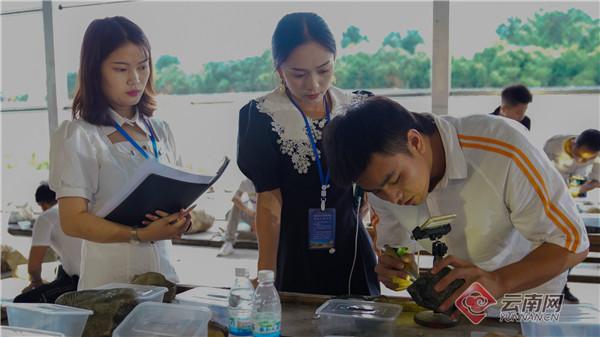 缅甸翡翠公盘原石,翡翠原石线上直播公盘-第4张图片-翡翠网 缅甸翡翠公盘原石,翡翠原石线上直播公盘-第4张图片-翡翠网