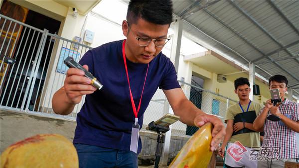 缅甸翡翠公盘原石,翡翠原石线上直播公盘-第5张图片-翡翠网 缅甸翡翠公盘原石,翡翠原石线上直播公盘-第5张图片-翡翠网