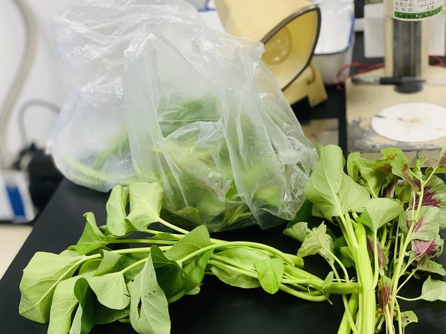 如何选翡翠镯子祖传翡翠手镯去哪里鉴定-第4张图片-翡翠网 如何选翡翠镯子祖传翡翠手镯去哪里鉴定-第4张图片-翡翠网