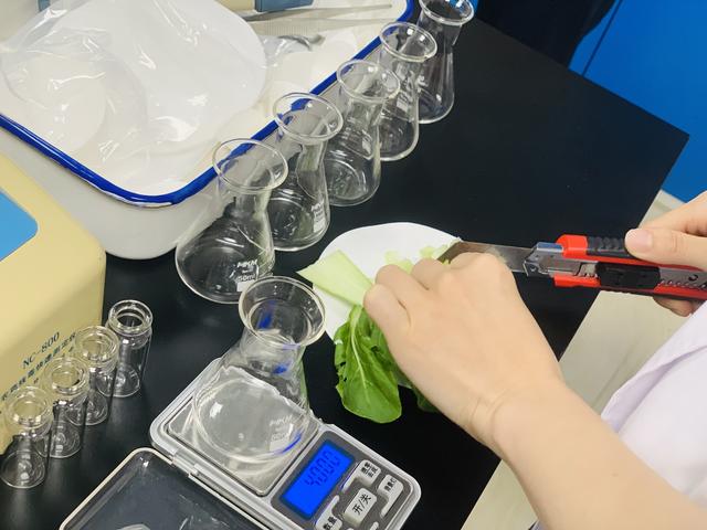 如何选翡翠镯子祖传翡翠手镯去哪里鉴定-第8张图片-翡翠网 如何选翡翠镯子祖传翡翠手镯去哪里鉴定-第8张图片-翡翠网