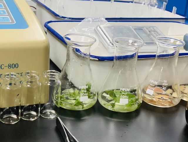 如何选翡翠镯子祖传翡翠手镯去哪里鉴定-第9张图片-翡翠网 如何选翡翠镯子祖传翡翠手镯去哪里鉴定-第9张图片-翡翠网