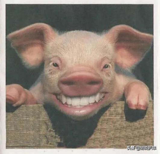 佛山平洲玉器市场水多深平州翡翠手镯-第2张图片-翡翠网 佛山平洲玉器市场水多深平州翡翠手镯-第2张图片-翡翠网