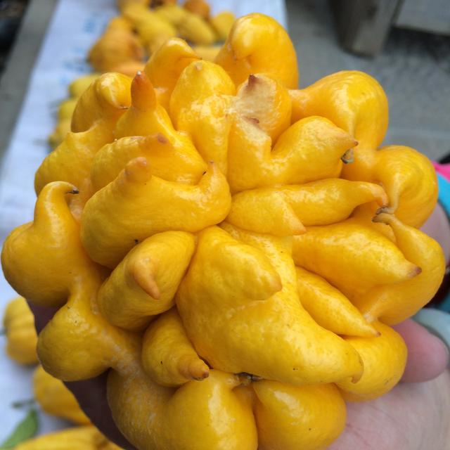 云南腾冲翡翠原石在哪里,腾冲翡翠原石市场-第1张图片-翡翠网 云南腾冲翡翠原石在哪里,腾冲翡翠原石市场-第1张图片-翡翠网