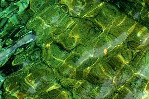 黄山翡翠谷门票优惠政策,黄山翡翠谷门票价格-第3张图片-翡翠网 黄山翡翠谷门票优惠政策,黄山翡翠谷门票价格-第3张图片-翡翠网