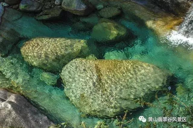 黄山翡翠谷门票优惠政策,黄山翡翠谷门票价格-第8张图片-翡翠网 黄山翡翠谷门票优惠政策,黄山翡翠谷门票价格-第8张图片-翡翠网