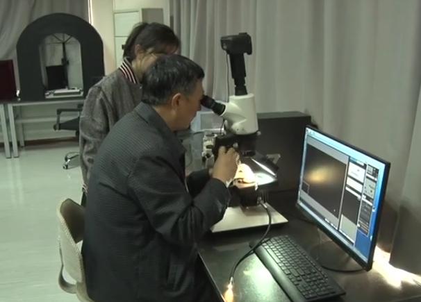 翡翠手镯戴在哪只手好淘宝网手镯翡翠-第4张图片-翡翠网 翡翠手镯戴在哪只手好淘宝网手镯翡翠-第4张图片-翡翠网