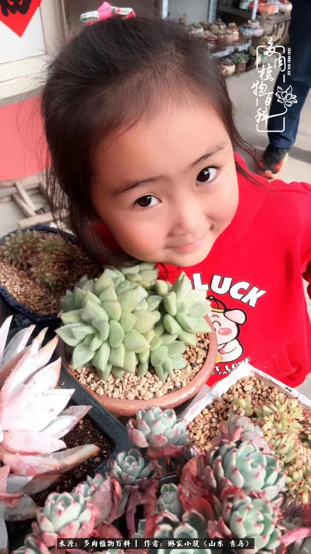 海翠翡琳价格表和图片海翡翠琳价格-第3张图片-翡翠网 海翠翡琳价格表和图片海翡翠琳价格-第3张图片-翡翠网