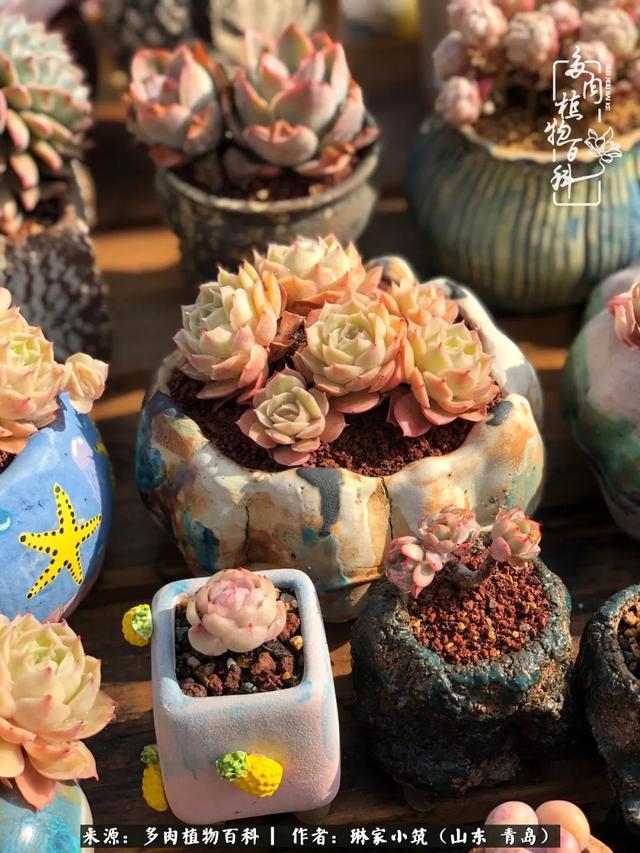 海翠翡琳价格表和图片海翡翠琳价格-第18张图片-翡翠网 海翠翡琳价格表和图片海翡翠琳价格-第18张图片-翡翠网