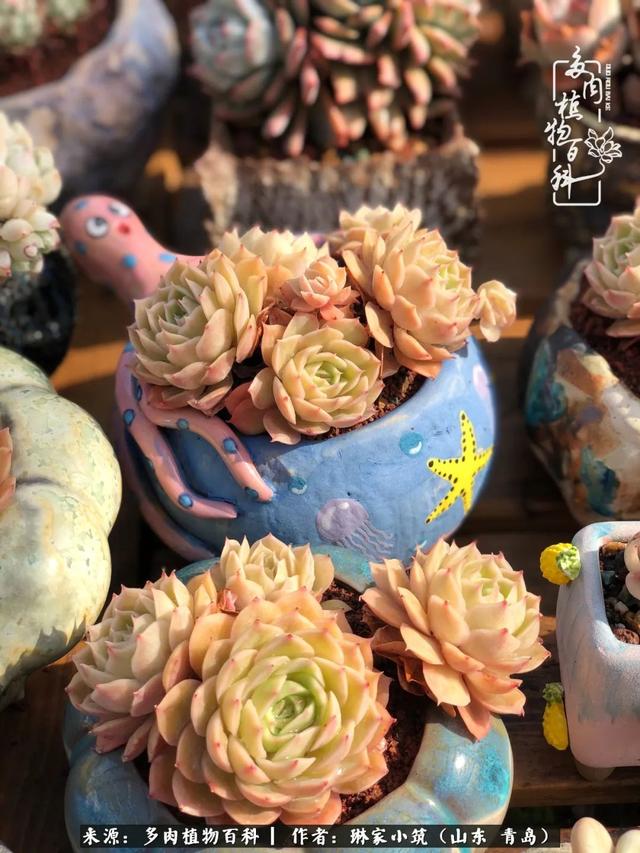 海翠翡琳价格表和图片海翡翠琳价格-第19张图片-翡翠网 海翠翡琳价格表和图片海翡翠琳价格-第19张图片-翡翠网