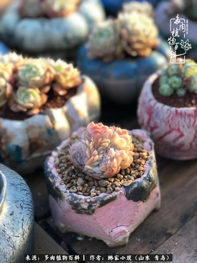 海翠翡琳价格表和图片海翡翠琳价格-第25张图片-翡翠网 海翠翡琳价格表和图片海翡翠琳价格-第25张图片-翡翠网