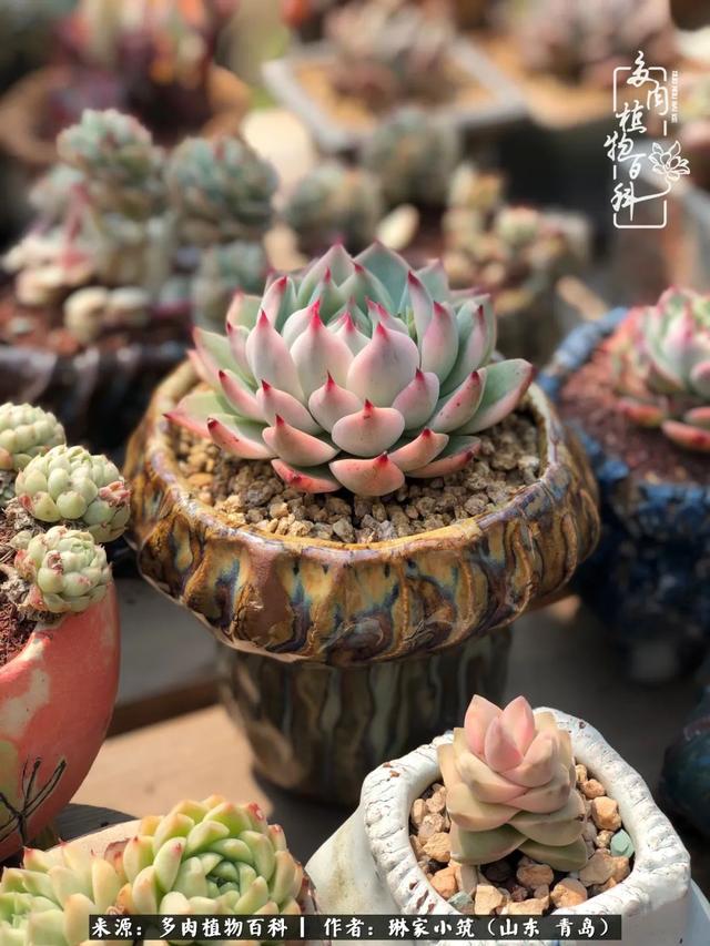 海翠翡琳价格表和图片海翡翠琳价格-第26张图片-翡翠网 海翠翡琳价格表和图片海翡翠琳价格-第26张图片-翡翠网