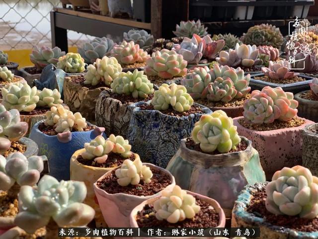 海翠翡琳价格表和图片海翡翠琳价格-第30张图片-翡翠网 海翠翡琳价格表和图片海翡翠琳价格-第30张图片-翡翠网