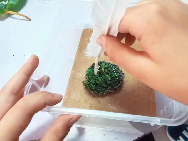 翡翠知识星球绘画日光翡翠叶在哪-第1张图片-翡翠网 翡翠知识星球绘画日光翡翠叶在哪-第1张图片-翡翠网