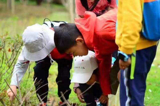 翡翠知识星球绘画日光翡翠叶在哪-第9张图片-翡翠网 翡翠知识星球绘画日光翡翠叶在哪-第9张图片-翡翠网