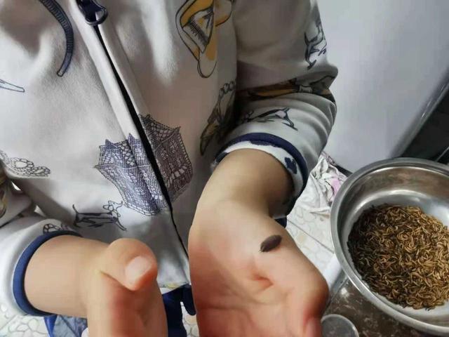 翡翠知识星球绘画日光翡翠叶在哪-第11张图片-翡翠网 翡翠知识星球绘画日光翡翠叶在哪-第11张图片-翡翠网