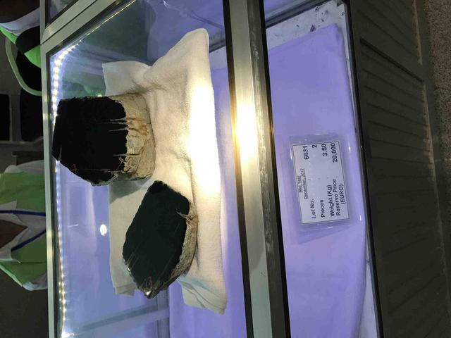 假翡翠在灯光下的图片翡翠原石毛料大全-第15张图片-翡翠网 假翡翠在灯光下的图片翡翠原石毛料大全-第15张图片-翡翠网