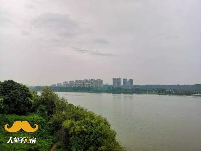 常平万科翡翠知识,万科系列楼盘五个等级-第19张图片-翡翠网 常平万科翡翠知识,万科系列楼盘五个等级-第19张图片-翡翠网