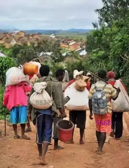 包含翡翠原石可以用油浸泡吗的词条-第3张图片-翡翠网 包含翡翠原石可以用油浸泡吗的词条-第3张图片-翡翠网