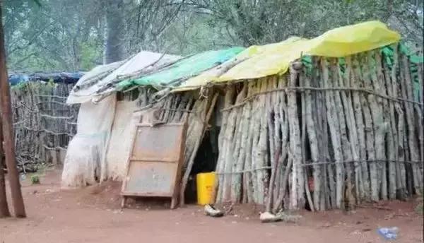 包含翡翠原石可以用油浸泡吗的词条-第5张图片-翡翠网 包含翡翠原石可以用油浸泡吗的词条-第5张图片-翡翠网