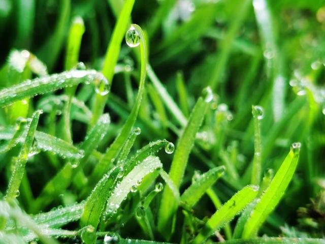 一千万满绿翡翠手镯毛料翡翠手镯起双眼皮-第1张图片-翡翠网 一千万满绿翡翠手镯毛料翡翠手镯起双眼皮-第1张图片-翡翠网